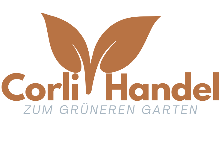 Zur Startseite gehen